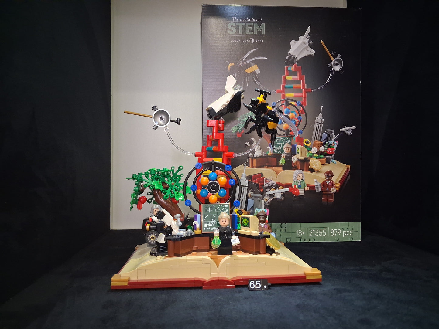 21355-La Evolución de STEM