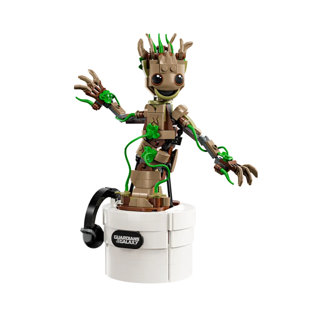 76297 Groot Bailarín