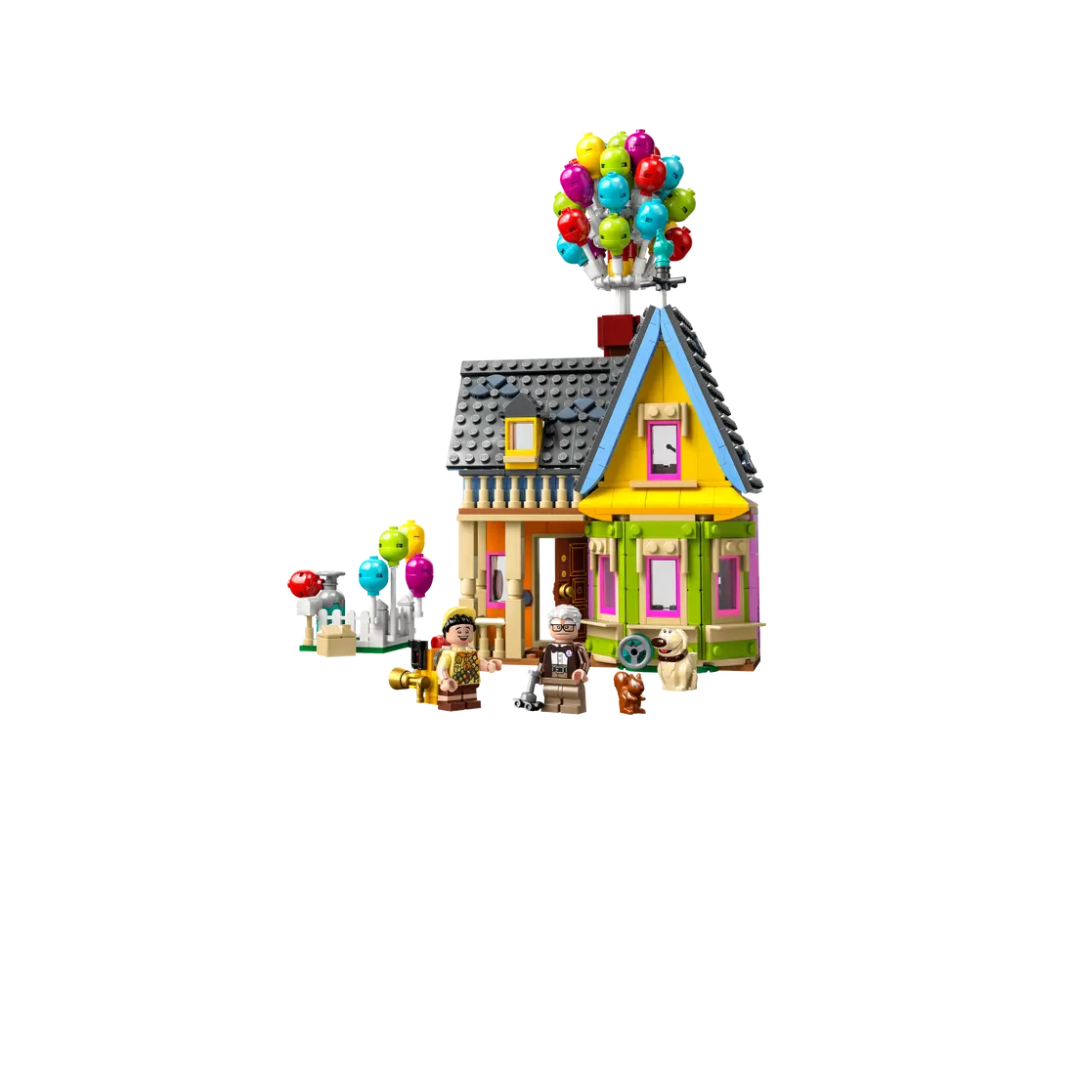43217 - “Up” House
