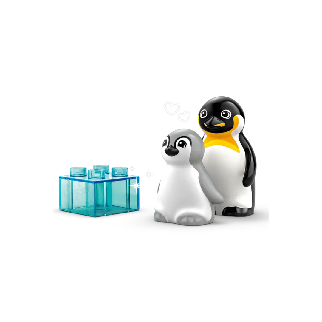 10442 - Familias de la Fauna Salvaje: Pingüinos y Leones