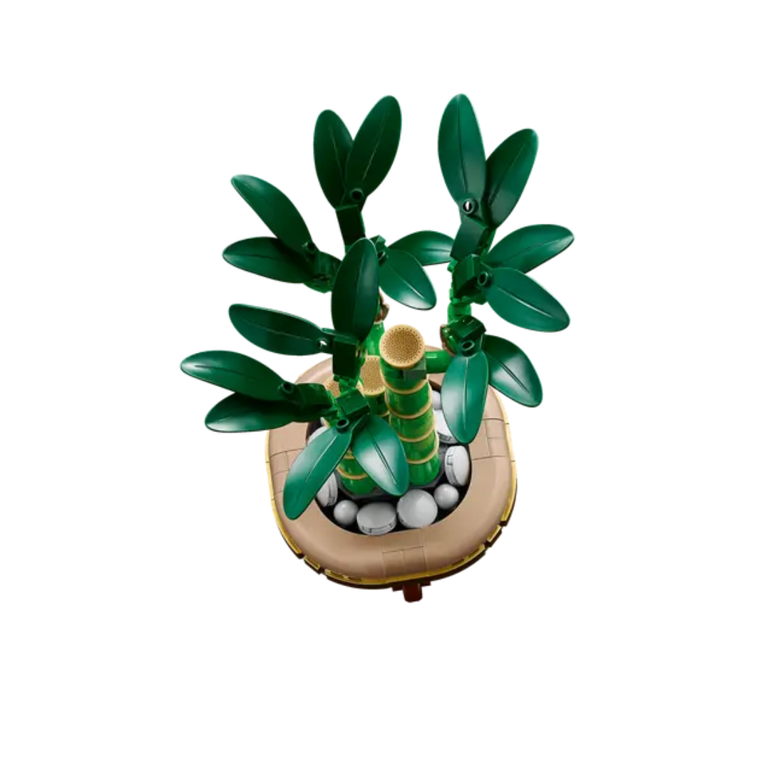 10344 - Bambú de la Suerte