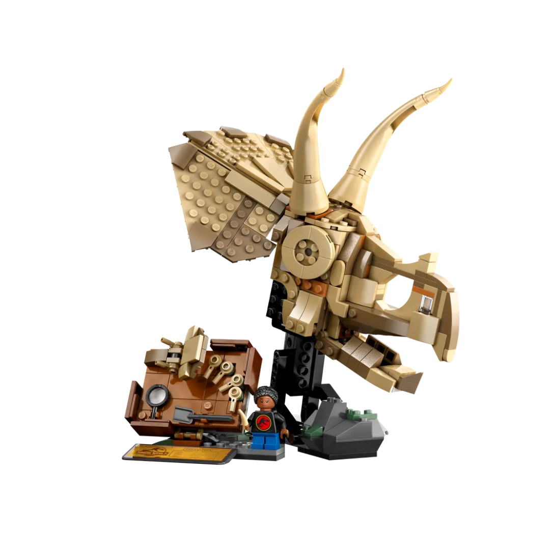 76969 - Dinosaur Fossils: Triceratops Skull