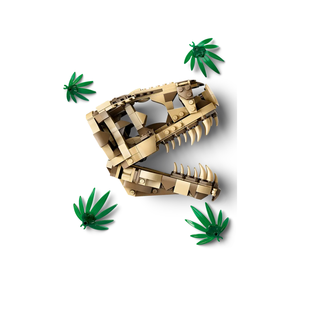 76964 - Dinosaur Fossils: T. rex Skull