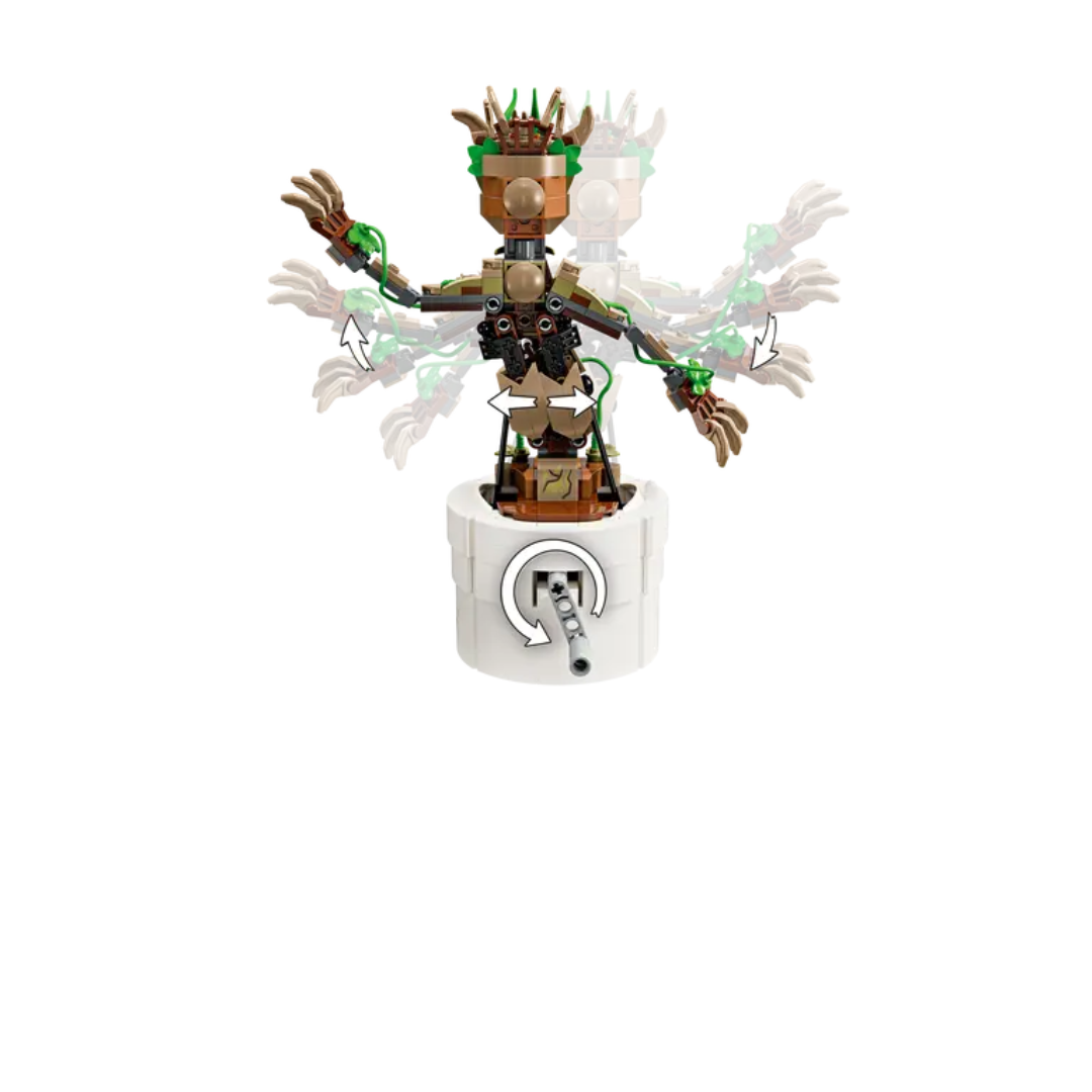 76297 Groot Bailarín