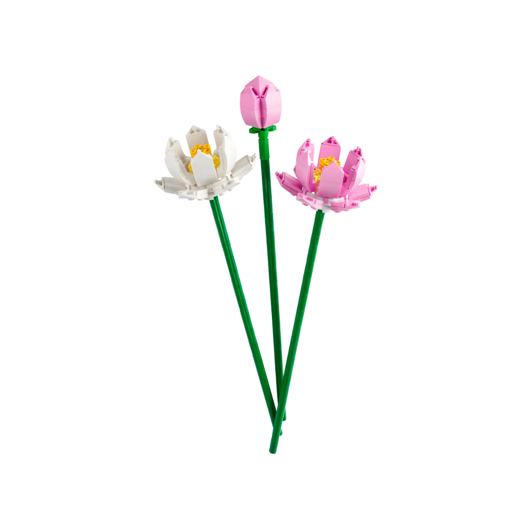 40647 - Lotus Flowers