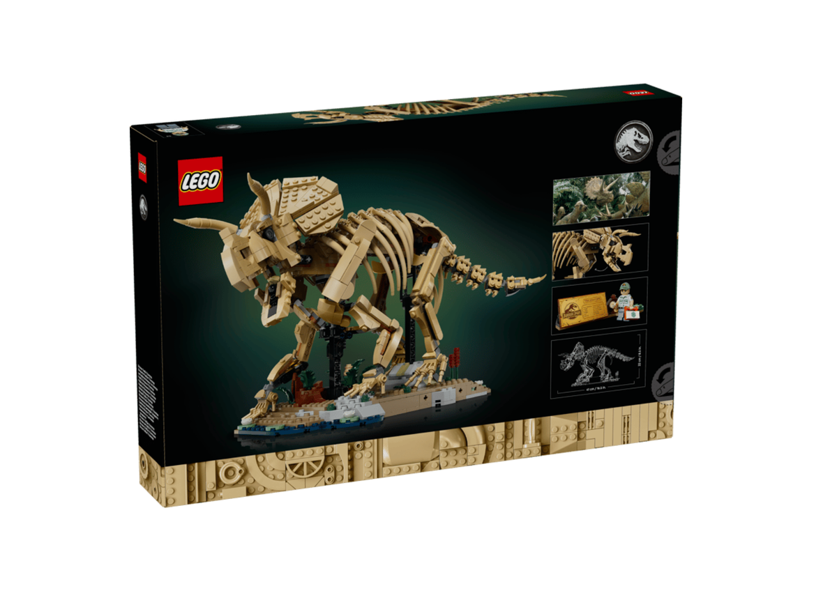 77985 - Fósiles de Dinosaurio: Triceratops