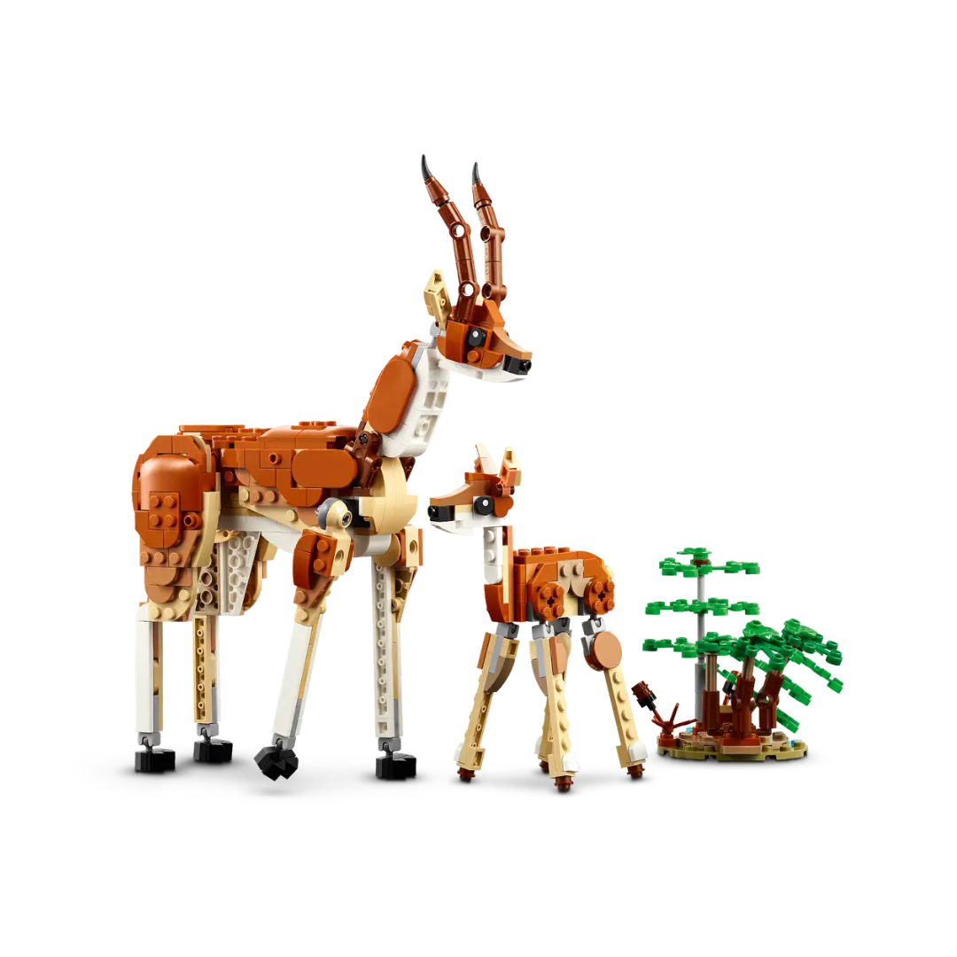 31150 Safari de Animales Salvajes