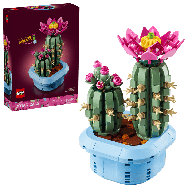 11509 - Cactus en Flor