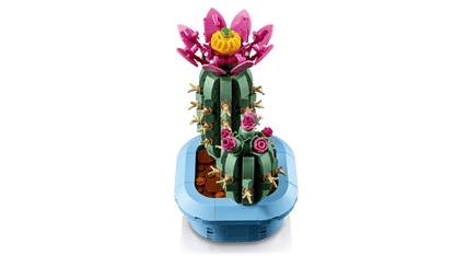 11509 - Cactus en Flor