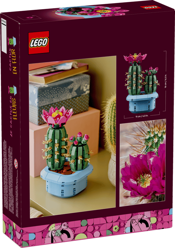 11509 - Cactus en Flor