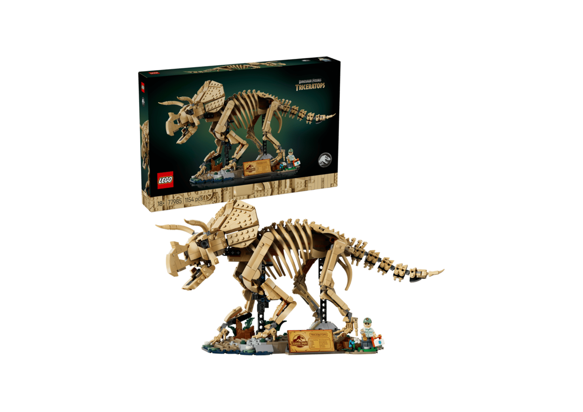 77985 - Fósiles de Dinosaurio: Triceratops