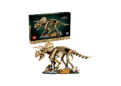 77985 - Fósiles de Dinosaurio: Triceratops