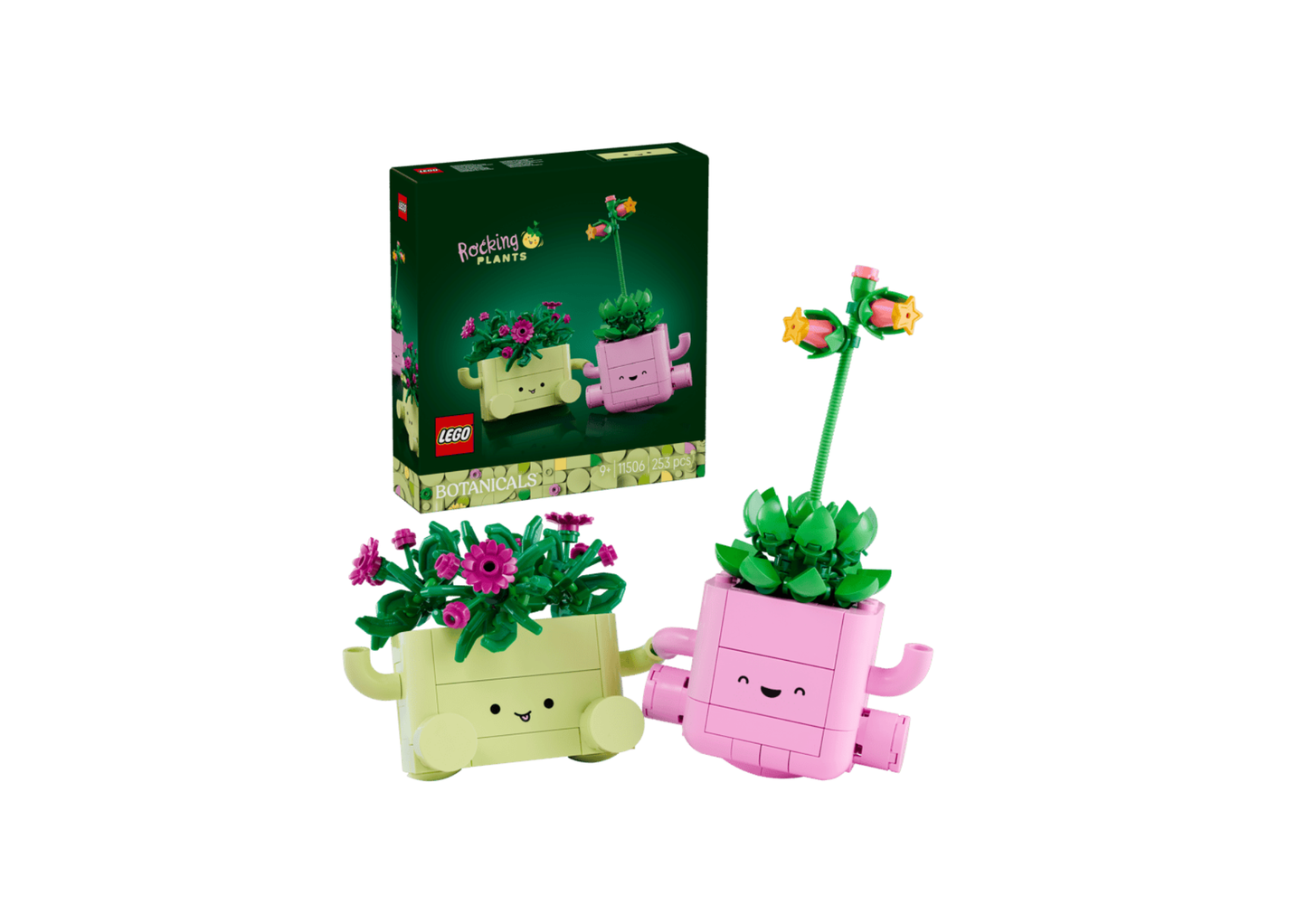 11506 - Plantas Bailarinas