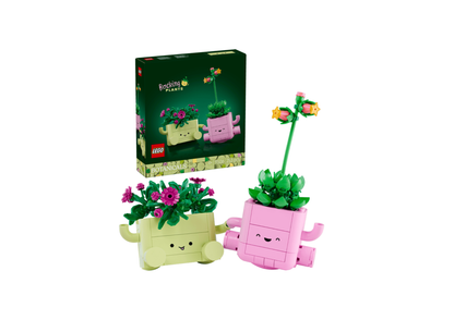 11506 - Plantas Bailarinas