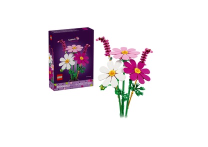 11514 - Flores de Cosmos