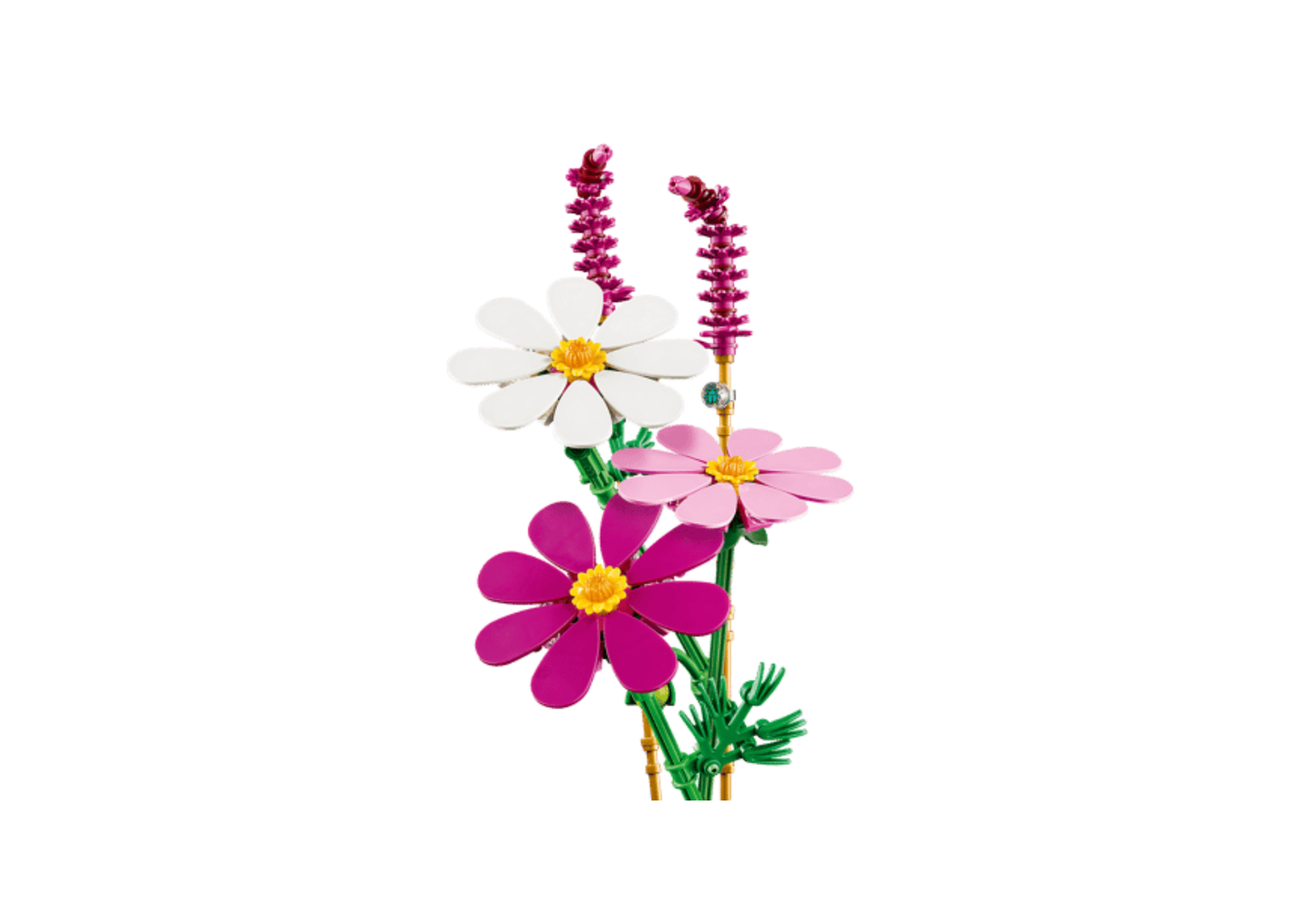11514 - Flores de Cosmos