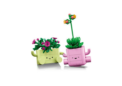 11506 - Plantas Bailarinas