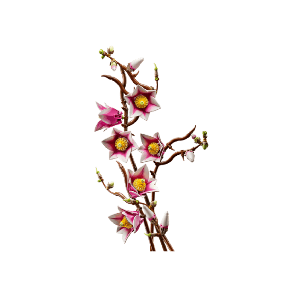 11510 - Ramas de Magnolia