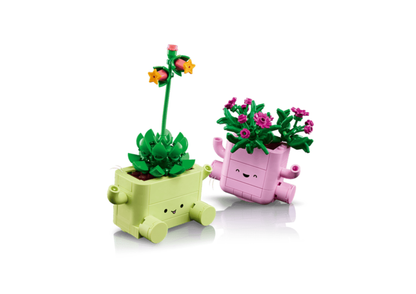 11506 - Plantas Bailarinas