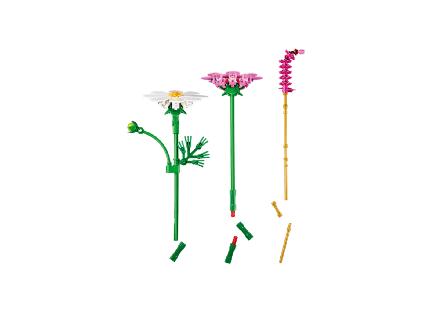 11514 - Flores de Cosmos