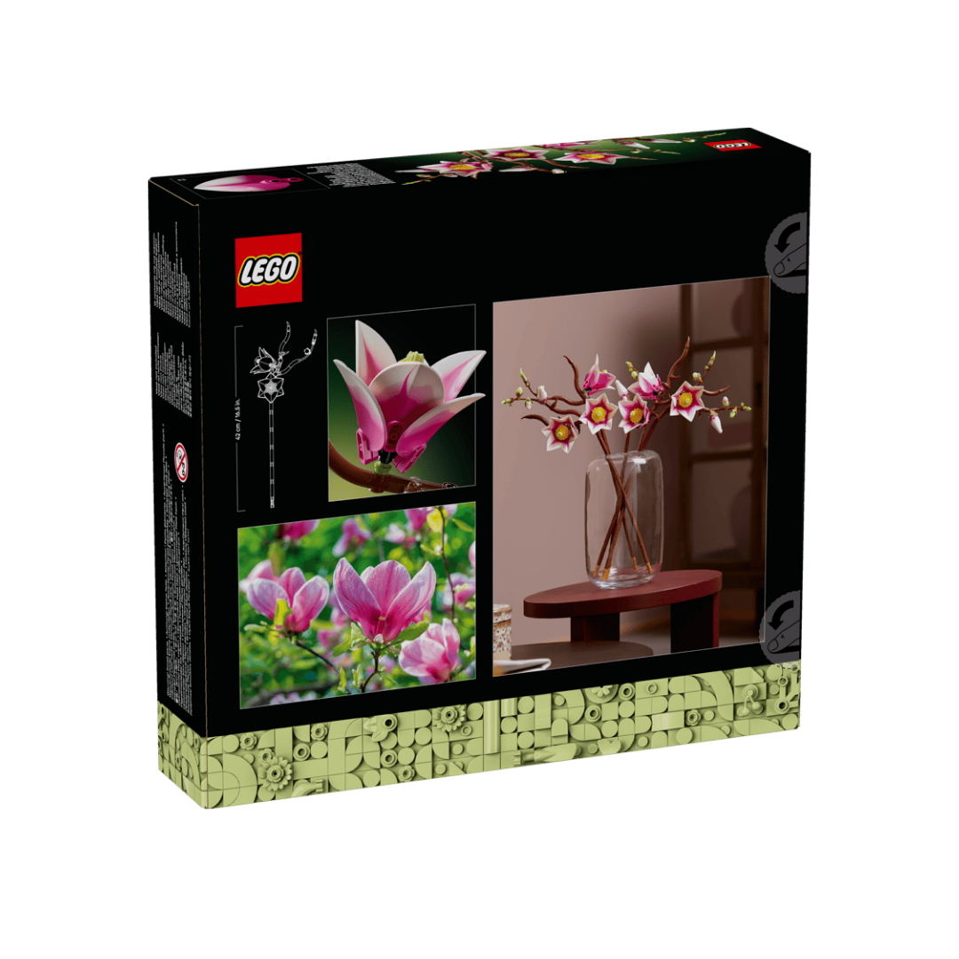 11510 - Ramas de Magnolia