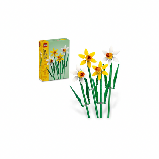 40747 Narcisos