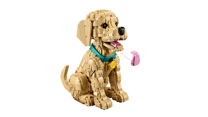 11384 - Cachorro de Golden Retriever
