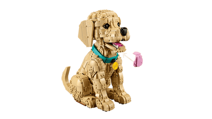 11384 - Cachorro de Golden Retriever
