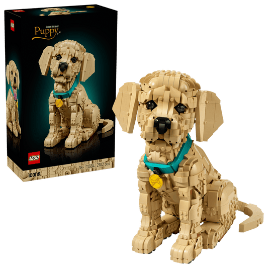 11384 - Cachorro de Golden Retriever